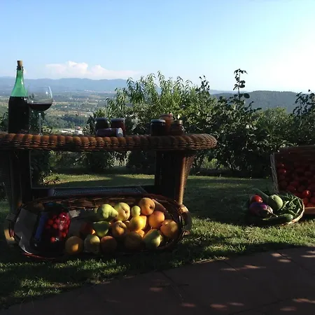 Villaspino Bed & Breakfast *