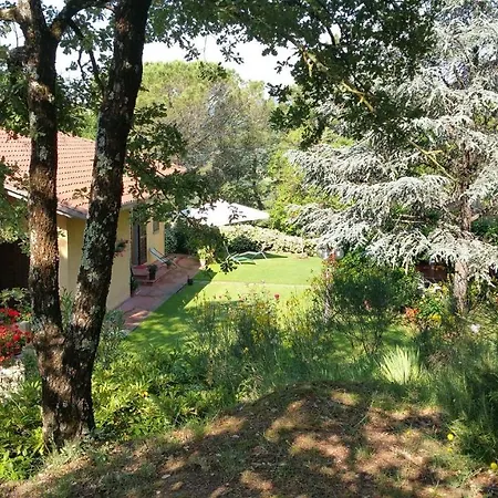 Villaspino