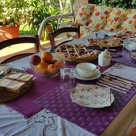 Bed & Breakfast Villaspino *