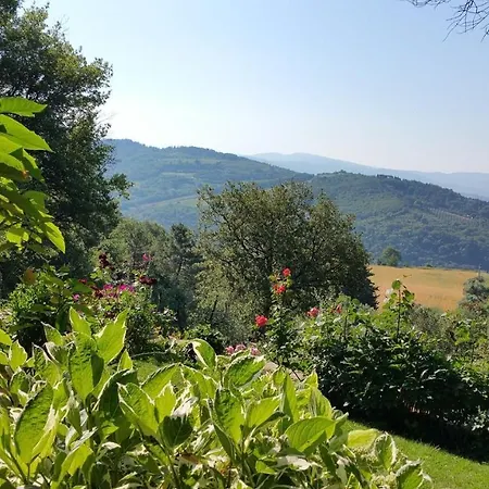 Bed & Breakfast Villaspino