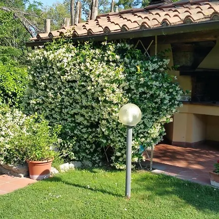 Villaspino *
