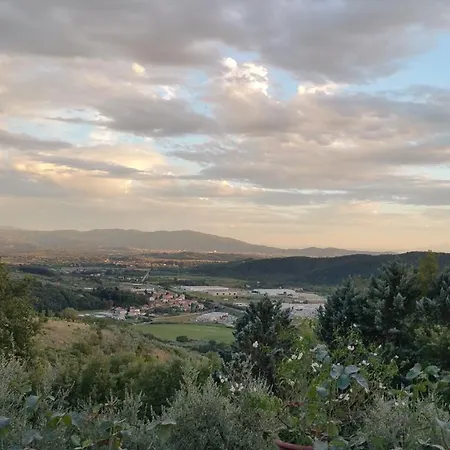 Villaspino