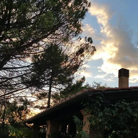 Villaspino *