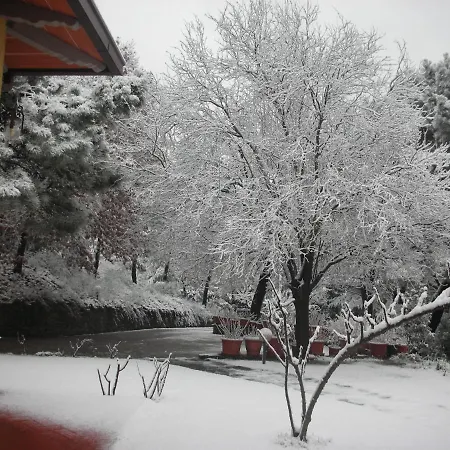 Villaspino 4* Capolona