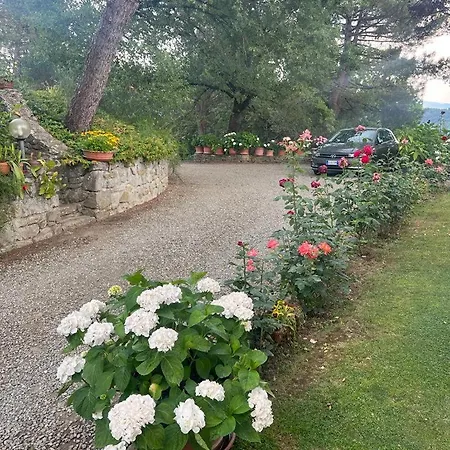 Villaspino
