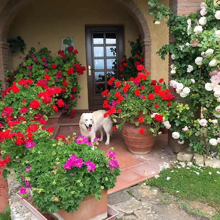 Bed & Breakfast Villaspino