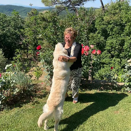 Villaspino Panzió Capolona