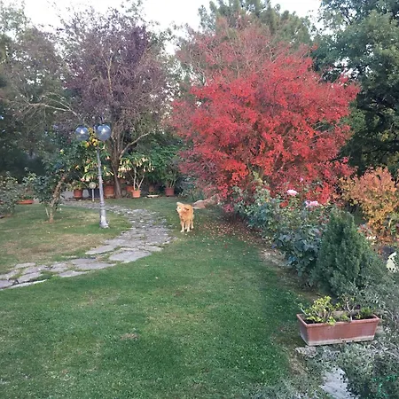 Villaspino Bed & Breakfast