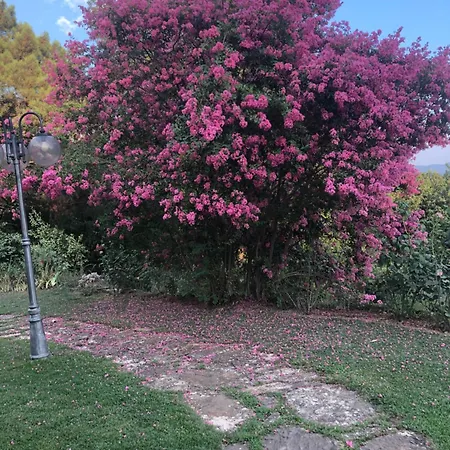 Villaspino Capolona