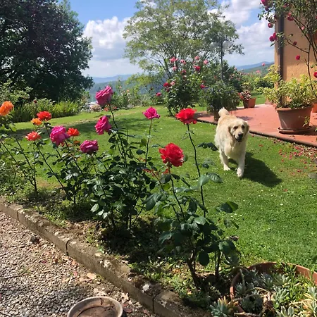 Bed & Breakfast Villaspino Capolona