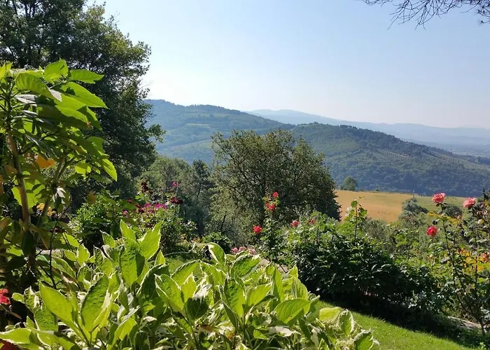 ベッド・アンド・ブレックファスト Villaspino