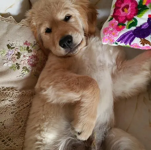 Villaspino ベッド・アンド・ブレックファスト