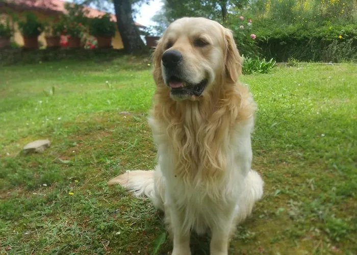 Villaspino ベッド・アンド・ブレックファスト