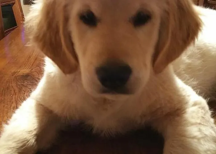 ベッド・アンド・ブレックファスト Villaspino 4*