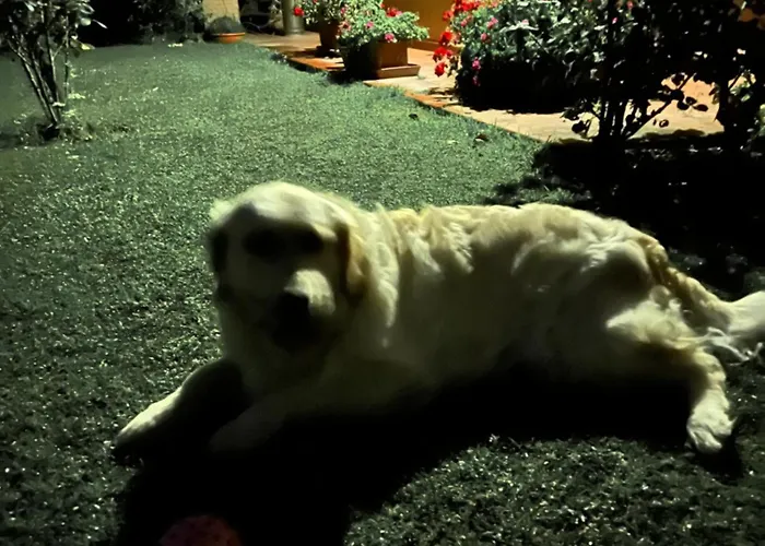 Villaspino ベッド・アンド・ブレックファスト