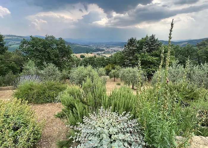 ベッド・アンド・ブレックファスト Villaspino 4*