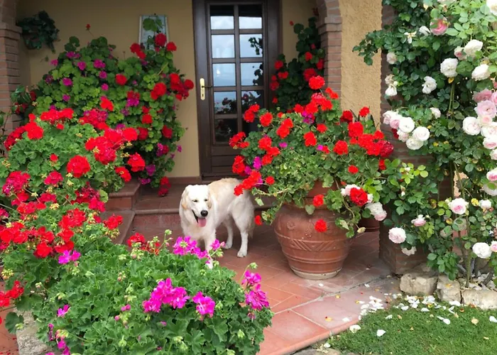 ベッド・アンド・ブレックファスト Villaspino