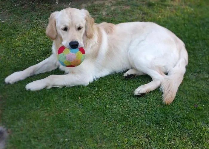 Villaspino 4* カポローナ