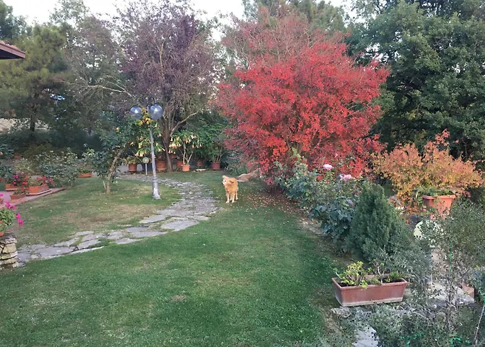 Villaspino ベッド・アンド・ブレックファスト